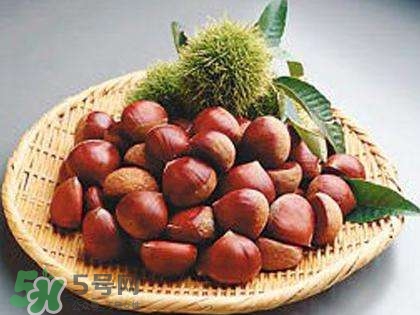 板栗酒能治療腎陽虛嗎？板栗泡酒真的能壯陽嗎？