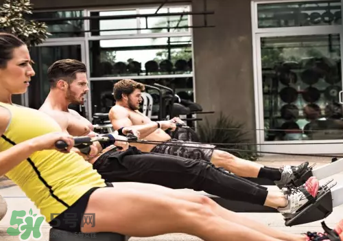 劃船機(jī)是練腹肌的嗎？劃船機(jī)的鍛煉方法