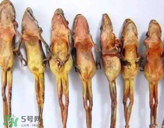 雪蛤干多少錢一斤？雪蛤干怎么吃？