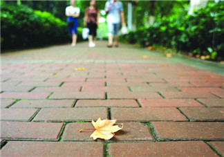 三伏天要做什么？三伏天不能忘做的事