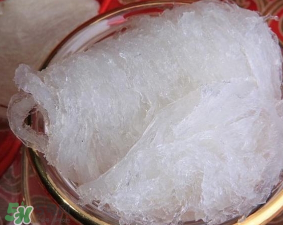 發(fā)好的燕窩怎么保存？發(fā)好的燕窩可以冷凍嗎？