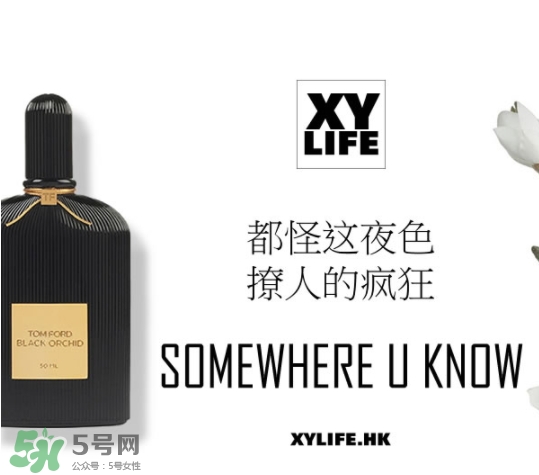 tom ford午夜蘭花香水多少錢(qián)？午夜蘭花香水專柜價(jià)格