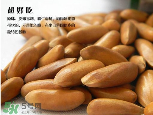 松籽可以生吃嗎？松籽怎么儲藏保存