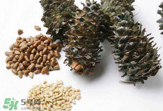 松子是松樹的果實嗎？松子是酸性還是堿性