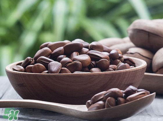 松籽多少錢一斤？松籽怎么炒能開口