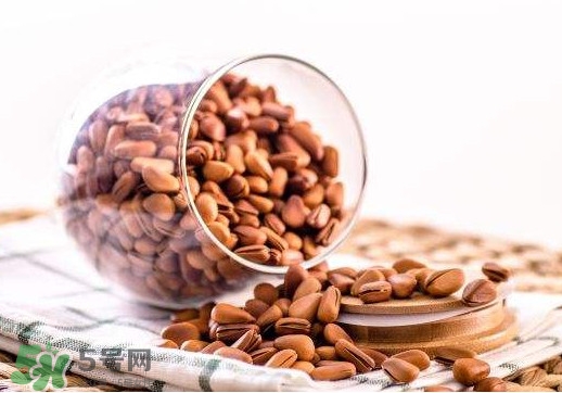 松籽好吃嗎？松籽怎么吃