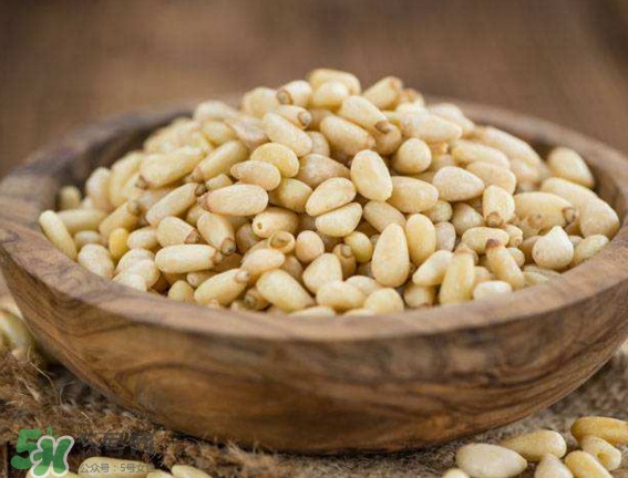 松籽是什么樹結(jié)的？松子還是松籽？