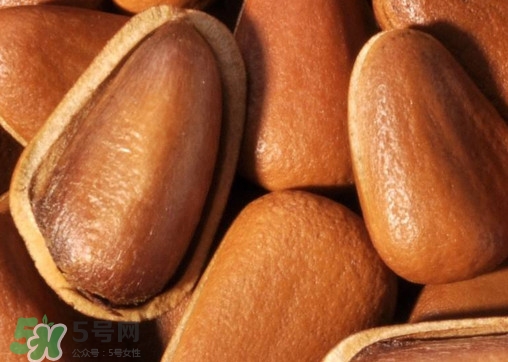 松籽什么季節(jié)采摘？吃松籽有什么好處？