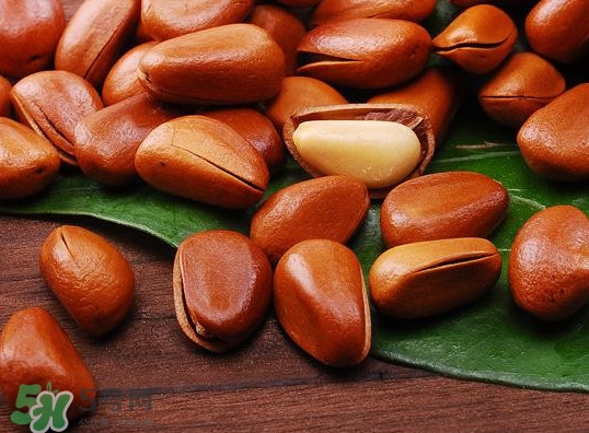 松籽可以生吃嗎？松籽怎么儲藏保存