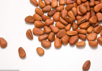 松籽多少錢一斤？松籽怎么炒能開口