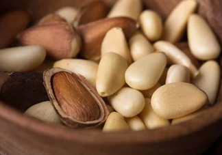 松籽有什么營(yíng)養(yǎng)價(jià)值？松籽仁的功效與作用