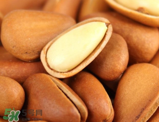 松籽過(guò)期還能吃嗎？松籽出芽是怎么回事