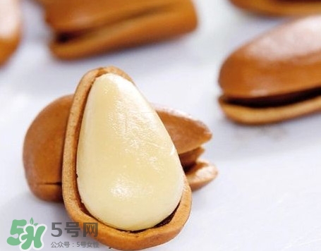 松子是松樹的果實嗎？松子是酸性還是堿性