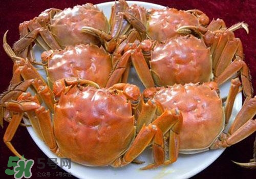 吃螃蟹能喝紅酒嗎 吃螃蟹喝紅酒可以嗎 吃螃蟹能喝紅酒嗎 吃螃蟹喝紅酒可以嗎