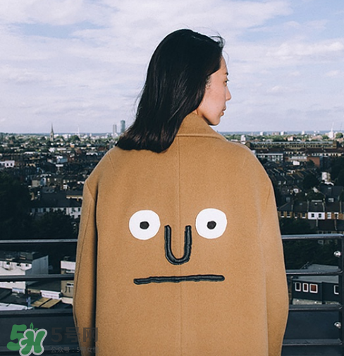 stereo vinyls是什么牌子？stereo vinyls是什么檔次？