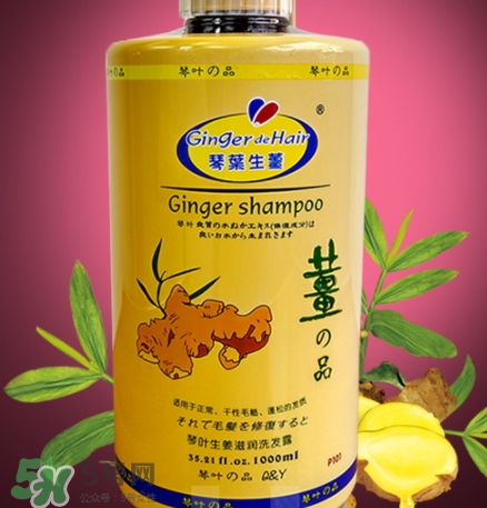 琴葉生姜洗發(fā)水好用嗎？琴葉生姜洗發(fā)水真假