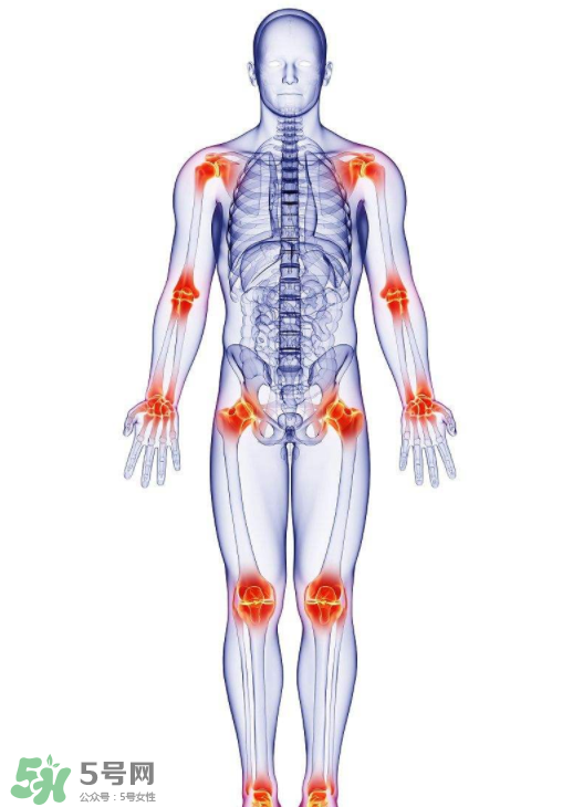 風濕要怎么調理？風濕要吃什么食物調養(yǎng)？