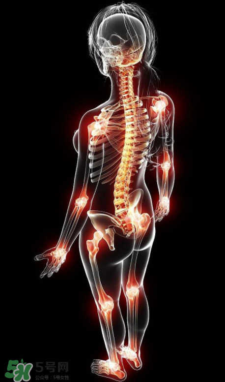 風濕要怎么調理？風濕要吃什么食物調養(yǎng)？