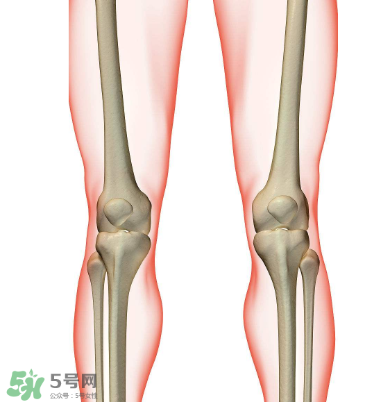 風濕要看什么科？風濕要掛什么科？