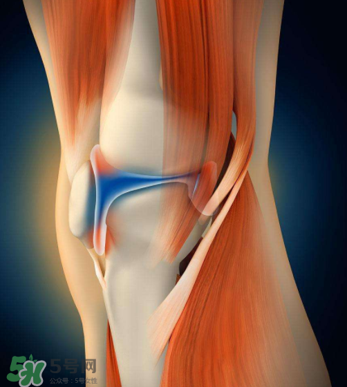 風(fēng)濕會引起腰痛嗎？風(fēng)濕會引起手麻嗎？