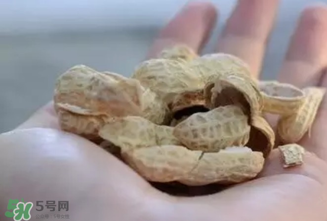 花生發(fā)芽后營(yíng)養(yǎng)如何？花生殼煮水喝有什么用？