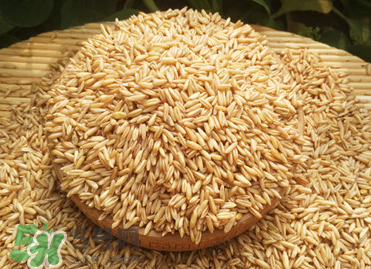 燕麥容易過敏嗎？燕麥容易過敏嗎？