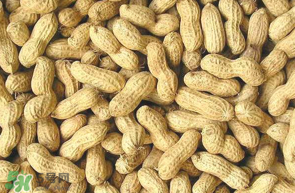 花生能減肥嗎？食用花生的注意事項(xiàng)