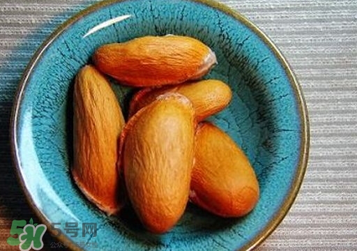 榴蓮籽能種嗎？榴蓮籽怎么種小盆栽？