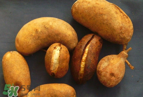 八月炸和八月扎有區(qū)別嗎？八月炸能泡酒嗎