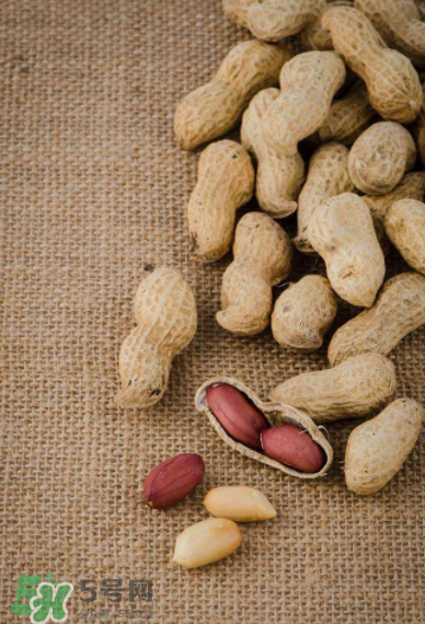 花生的藥用價值有哪些？花生不能和什么一起吃？