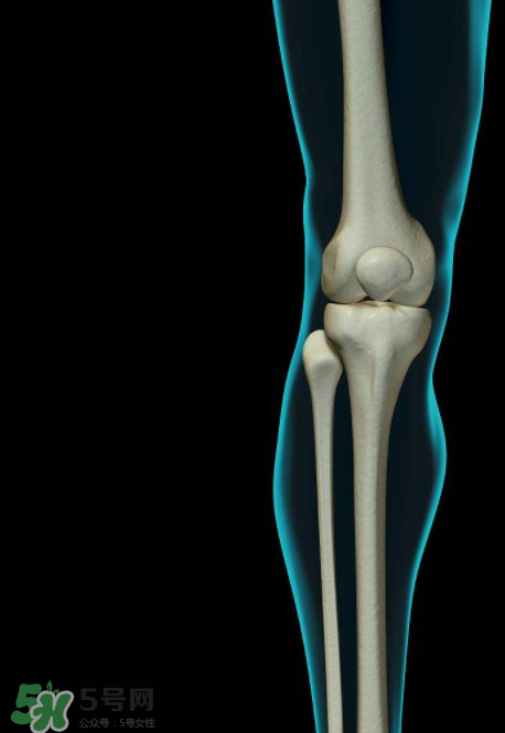 風(fēng)濕可以吃螃蟹嗎？得了風(fēng)濕能吃螃蟹嗎？