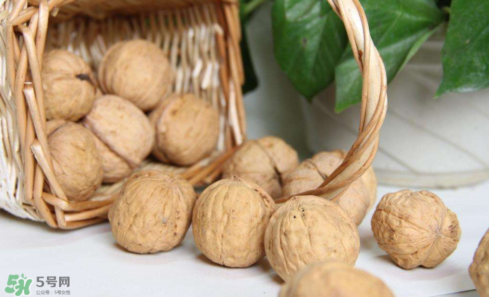 核桃組有哪些？核桃的栽培技術(shù)是什么？