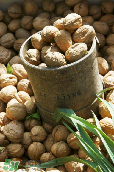 核桃酒是什么？核桃酒的功效是什么？