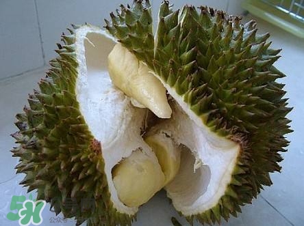 榴蓮和雞蛋能一起吃嗎？榴蓮和什么不能一起吃？