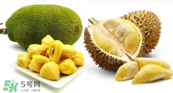 榴蓮和菠蘿蜜一樣嗎？榴蓮和菠蘿蜜哪個營養(yǎng)好？