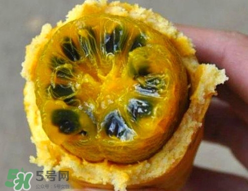 八月炸適合哪里種植？八月炸作用和功效是什么