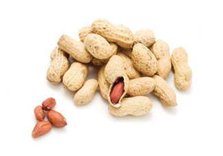 芽苗蔬菜是什么？花生衣有什么用？