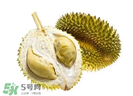 榴蓮籽能種嗎？榴蓮籽怎么種小盆栽？