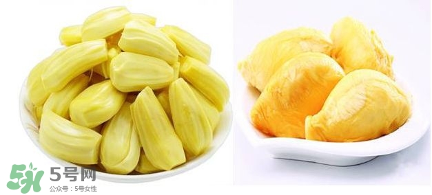 榴蓮和菠蘿蜜一樣嗎？榴蓮和菠蘿蜜哪個營養(yǎng)好？