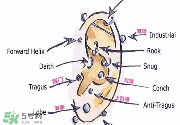 耳洞打什么位置好看？打耳洞痛不痛？