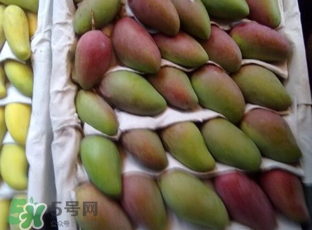 芒果有哪些品種？哪種芒果最好吃？