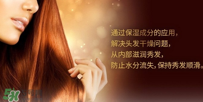 indefinie是什么牌子？indefinie洗發(fā)水怎么樣？