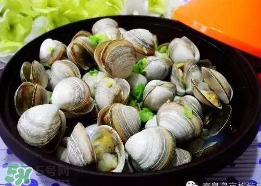 蛤蜊蒸蛋孕婦能吃嗎？蛤蜊蒸蛋寶寶能吃嗎