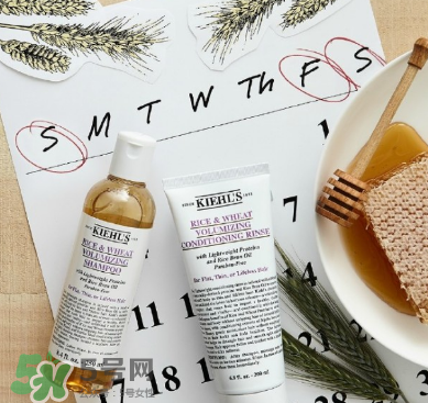 全方位開扒歐萊雅，原來這些都是她家的！