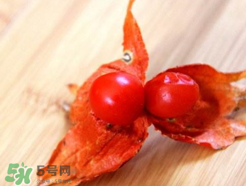 苦姑娘能治糖尿病嗎 苦姑娘能治療咽炎嗎 苦姑娘能治糖尿病嗎 苦姑娘能治療咽炎嗎