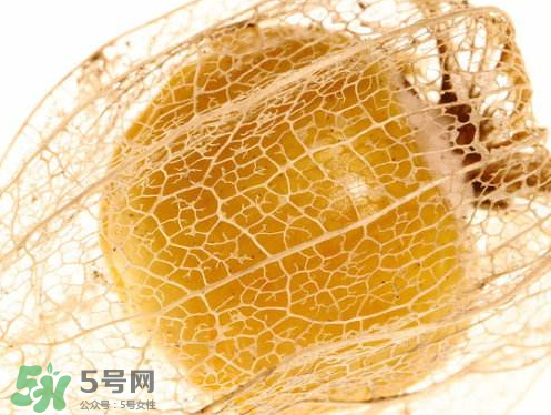 姑娘果熱量高嗎 姑娘果熱量是多少 姑娘果熱量高嗎 姑娘果熱量是多少