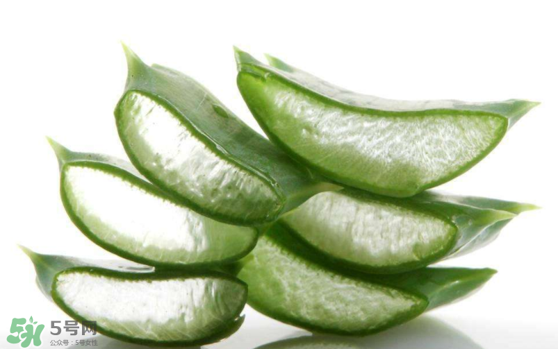 敏感肌能使用蘆薈護(hù)膚嗎？蘆薈膠有什么用？