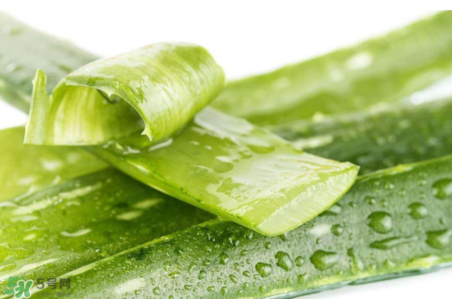 敏感肌能使用蘆薈護(hù)膚嗎？蘆薈膠有什么用？