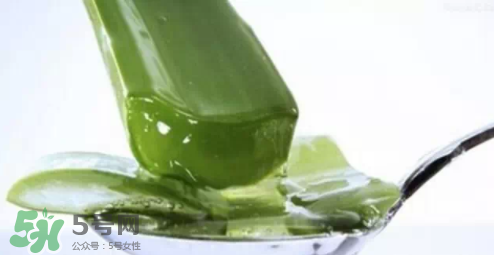 蘆薈怎么吃？蘆薈番茄湯的做法 