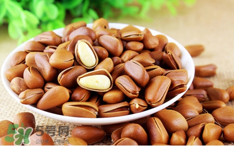 松子什么時(shí)候成熟？松子什么時(shí)候吃最好